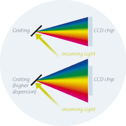 Spectrometer grating