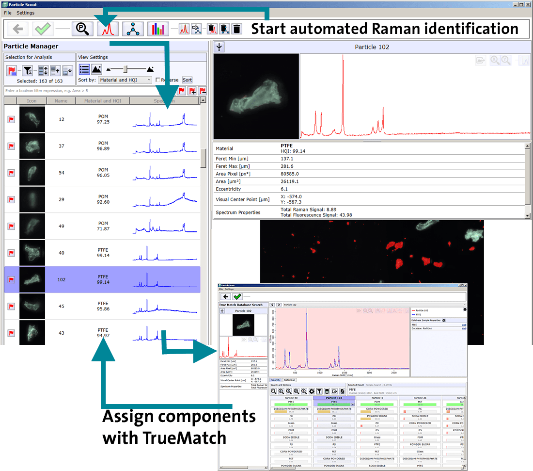ParticleScout Identification Workflow