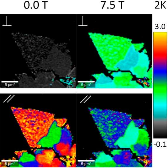 MoS2 2K Raman polarization magnetic field