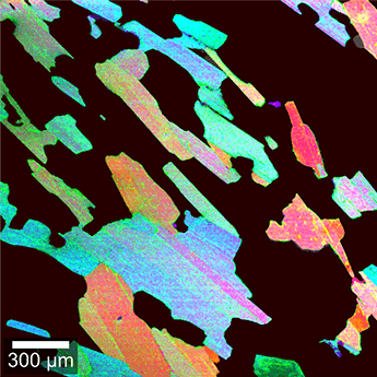 Biotit TrueComponent Analyse