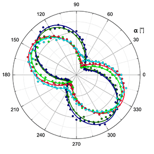 Biotit Raman Polarplot