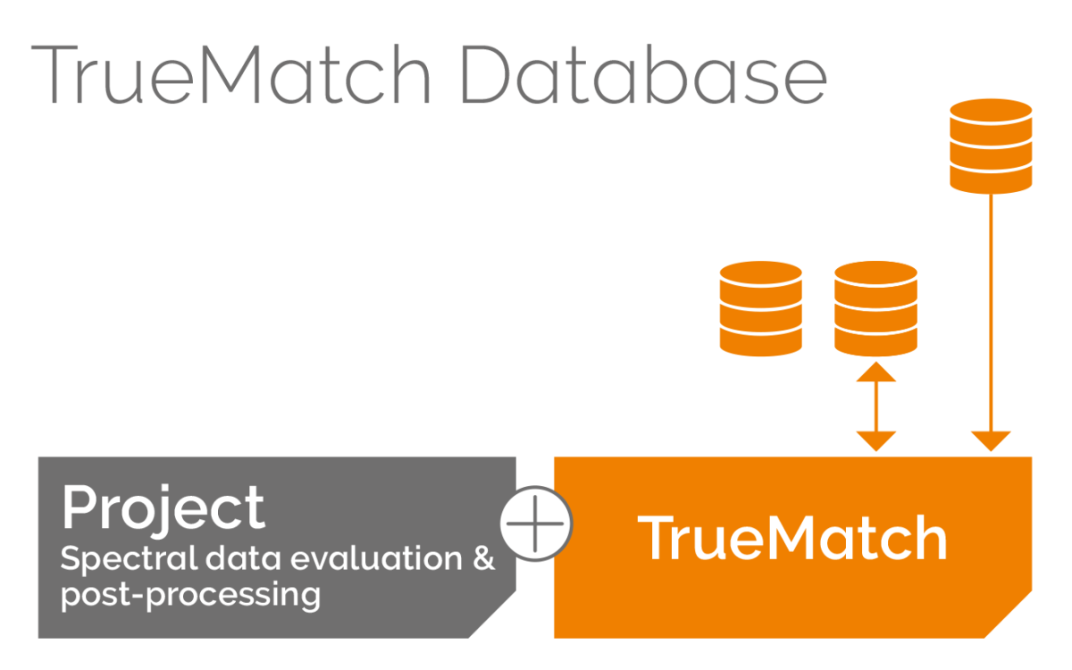 TrueMatch Databases