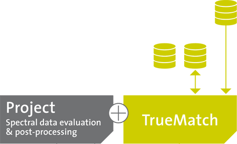 TrueMatch Databases