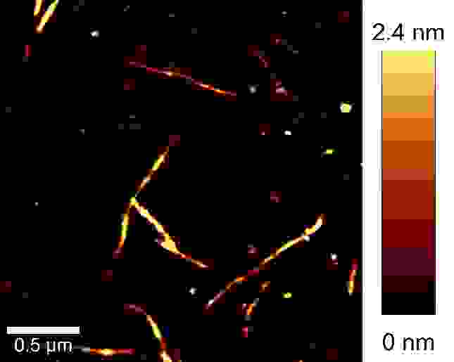AFM-Bild von Kohlenstoff-Nano-Röhrchen.