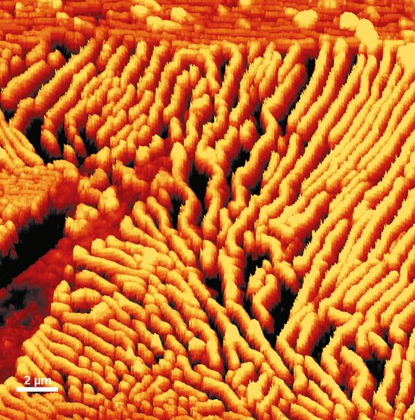 Topografie einer Stahloberfläche (AFM)