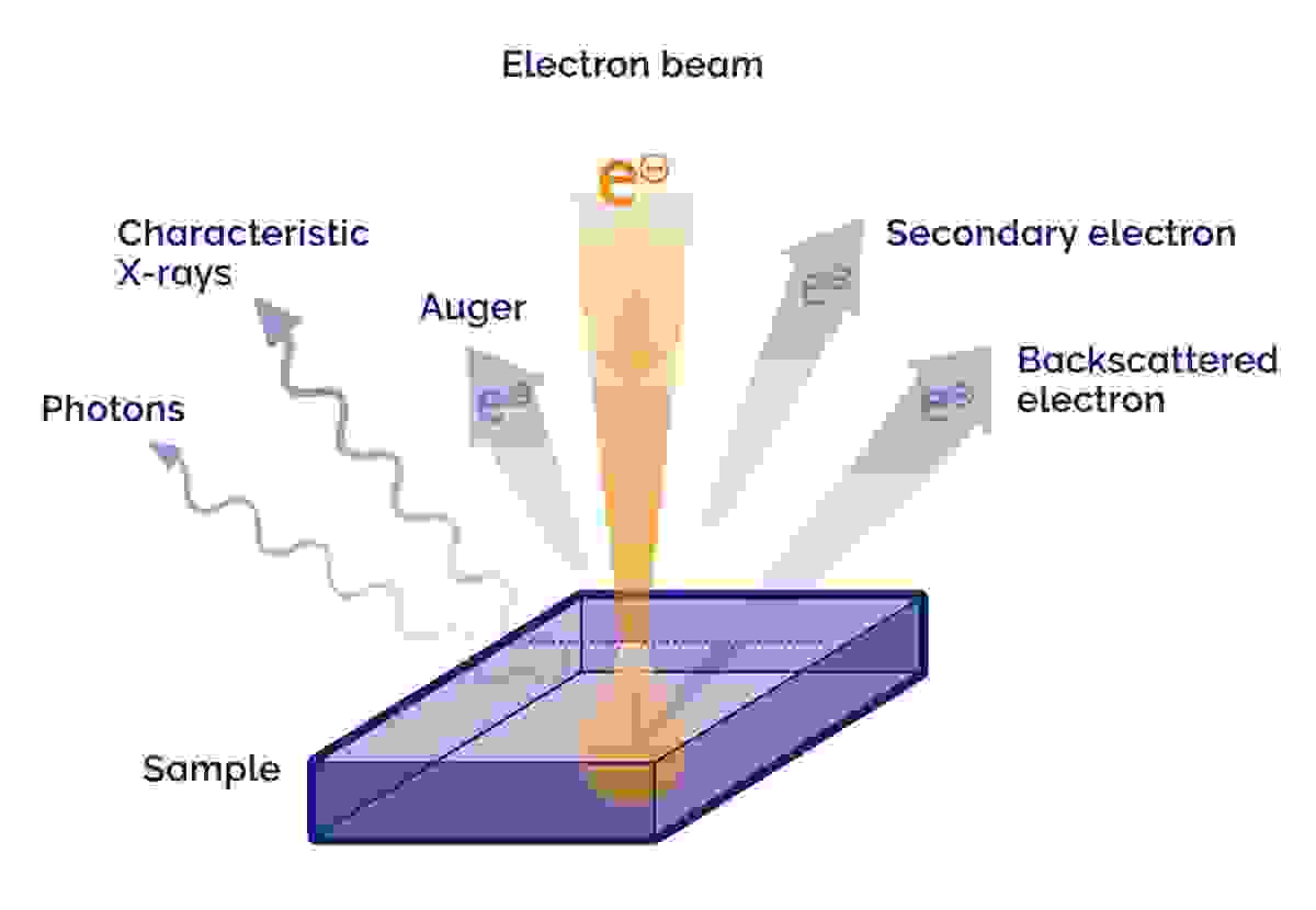 Rasterelektronenmikroskopie