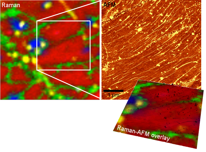 Raman- und AFM-Bilder desselben Probenbereichs einer gerippelten CVD Graphenschicht.