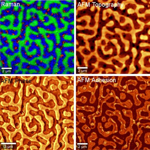 Raman-AFM-Bilder einer Polymermischung