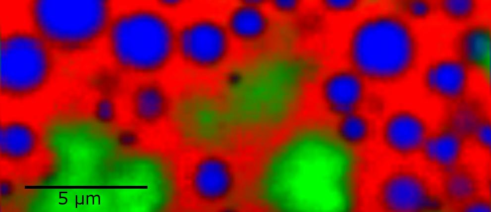 Konfokales Raman-Bild einer Emulsion (Wundsalbe)