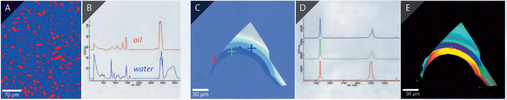 WITec alpha300 access Anwendungsbeispiel
