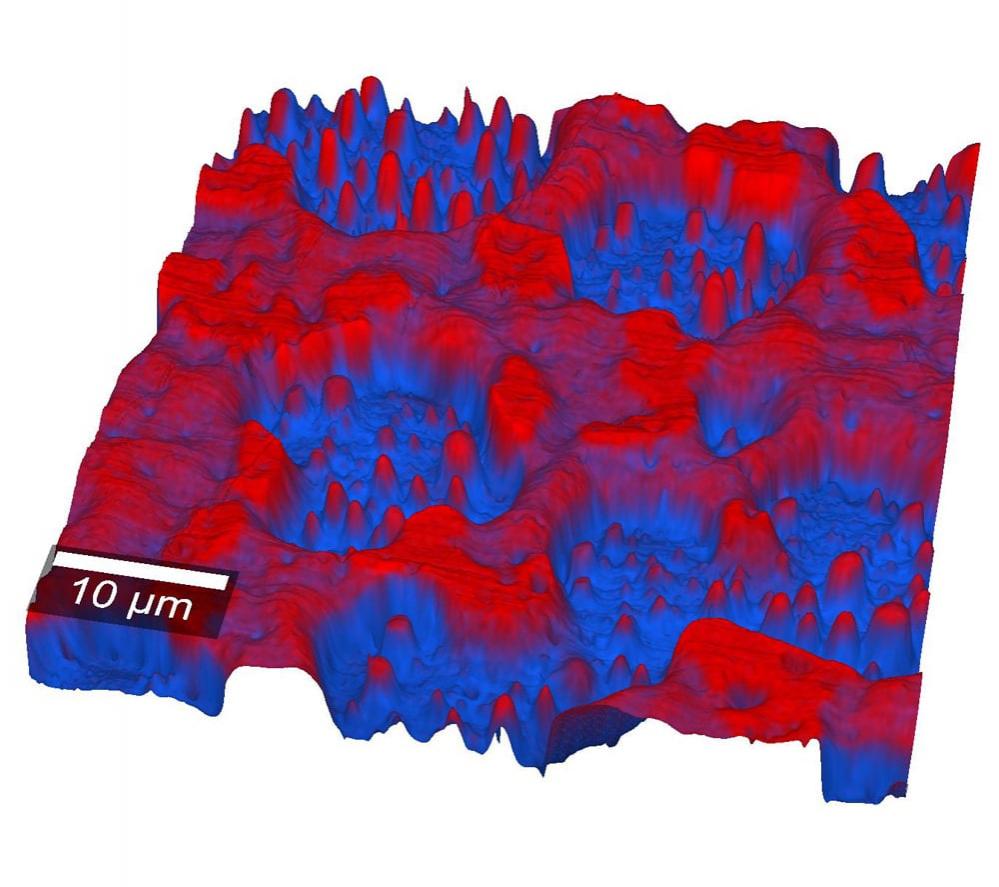 Überlagerung von AFM-Topographie und Raman-Bild einer Polymermischung