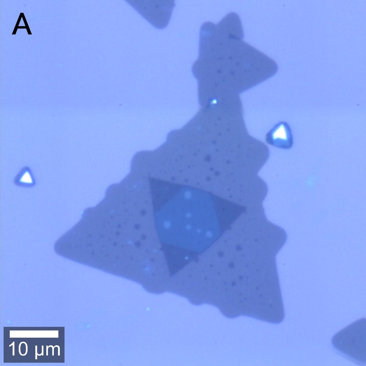 Bright-field image of WSe2