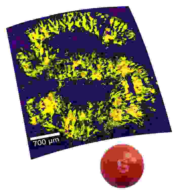 Topographic Raman image of candy coating