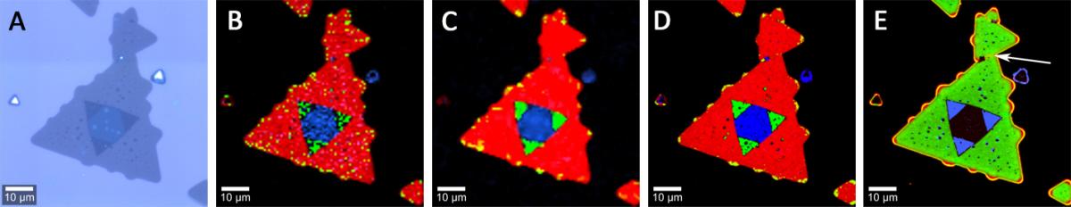 WSe2 ultra-fast Raman imaging