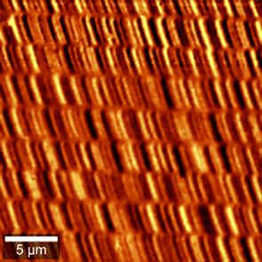 alpha300A magnetic force mode hard drive