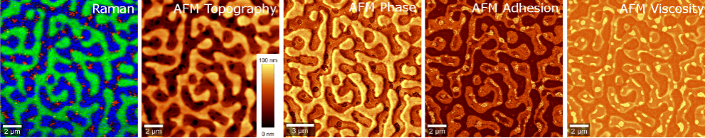Kombinierte Raman-AFM-Messung eines Polymers.